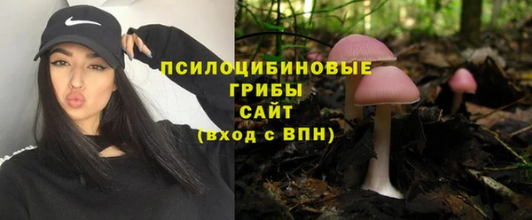 гидра Лихославль