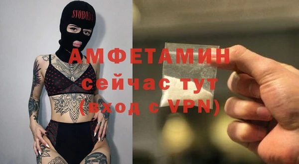 гидра Лихославль