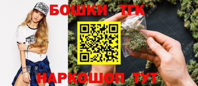 шишки Дубна