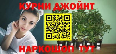 шишки Дубна