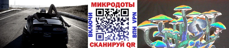где купить наркоту Партизанск Псилоцибиновые грибы мухоморы