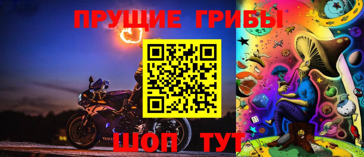 Партизанск  Галлюциногенные грибы Psilocybine cubensis  Вход с VPN 
